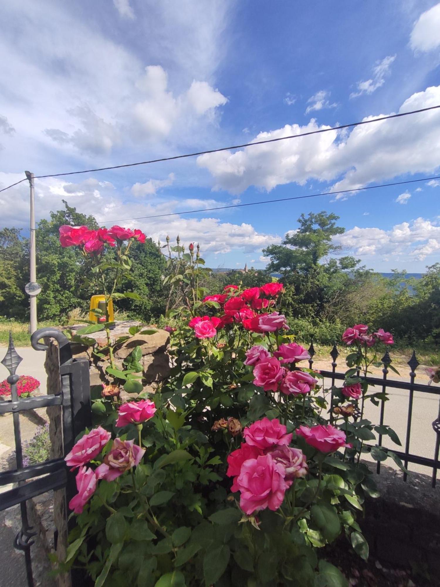Apartman Villa Romana โกรชน์ยัน ภายนอก รูปภาพ